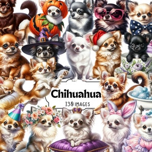 Chihuahua Clipart Set - Cute Chihuahua PNG, Cute Small Dog, Holiday, Birthday, Celebrations and Everyday Chihuahua Illustrations, puppy art