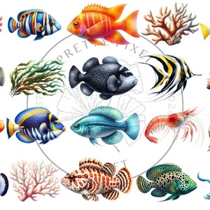 May include: A colorful illustration of various sea creatures, including fish, coral, and seaweed. The fish are depicted in a variety of colors and patterns, including orange, blue, yellow, and black. The coral is red and pink, and the seaweed is green. The illustration is set against a white background.