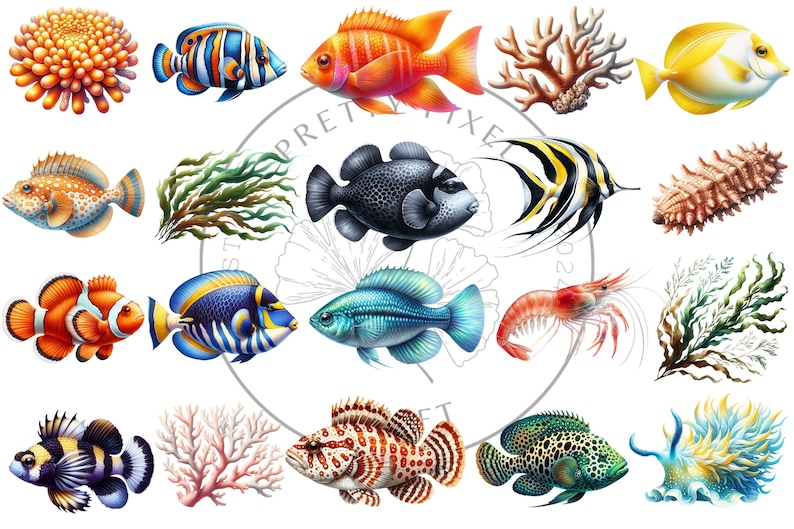 May include: A colorful illustration of various sea creatures, including fish, coral, and seaweed. The fish are depicted in a variety of colors and patterns, including orange, blue, yellow, and black. The coral is red and pink, and the seaweed is green. The illustration is set against a white background.