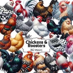 Imágenes prediseñadas de gallinas y gallos, gallinas de granja, ilustración de acuarela, digital, gallina, granja, imprimible, imágenes prediseñadas de aves, descarga