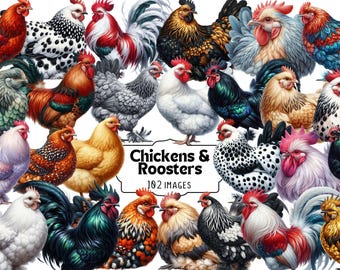 Chickens and Roosters clipart, farm chickens, watercolor illustration, digital, hen, farmhouse, printable, clip art bird, download