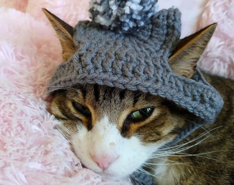 Crochet Hat For Cats