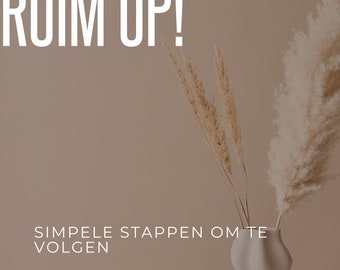 Tidying up e-book - Tidy up! by REMOVIT