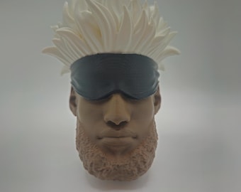 LeBron James x Satoru Gojo - 3D Printed, Gag Gift, Desktop Decoration, Home Decor, Gift Idea, Stocking Stuffer