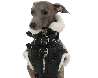 Chaqueta biker para galgo italiano o perro pequeño. Una chaqueta motera para un galgo italiano o un perro pequeño.