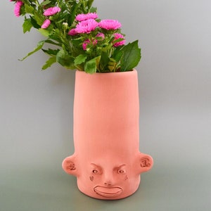 May include: A pink ceramic vase shaped like a face with a grumpy expression. The vase is filled with pink flowers.