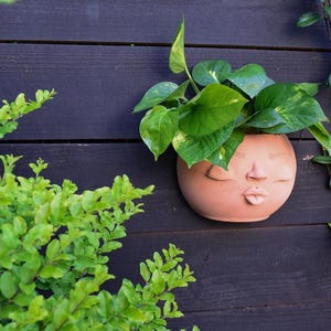 Jardinera de pared de arcilla hecha a mano