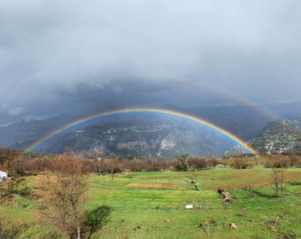 Rainbow