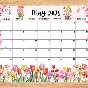 Editable May 2025 Calendar, Hello Spring tulip flowers planner, Printable Planner for Home Work, Kids Schedule, fillable May 2025 planner