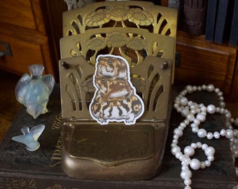 Vinylsticker The Tower Rain Frog