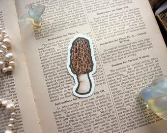 Sticker morillepaddestoel