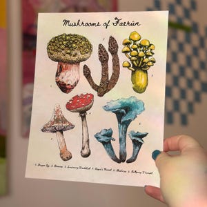 Mushrooms of Faerûn - Baldur&#39;s Gate BG3 Art Print