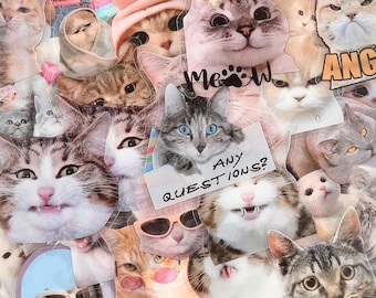 Adesivos fofos de gatinhos – PET transparente, 50 unidades