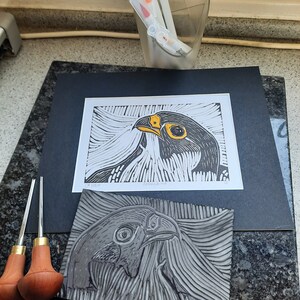 Original Peregrine Falcon Hand Coloured Linocut Print: Hand Made Aboard Narrowboat Charlamy and Ready to Frame