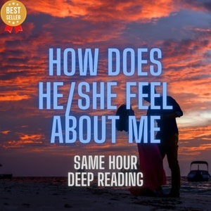 How Does He/She Feel About Me? , Love Reading , Same Hour, Tarot Reading, What Does He Think of Me, Fast Delivery