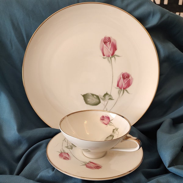 HUTSCHENREUTHER Gelb LHS Bavaria Germany PASCO American Beauty Platinum, cup and saucer & dinner plate