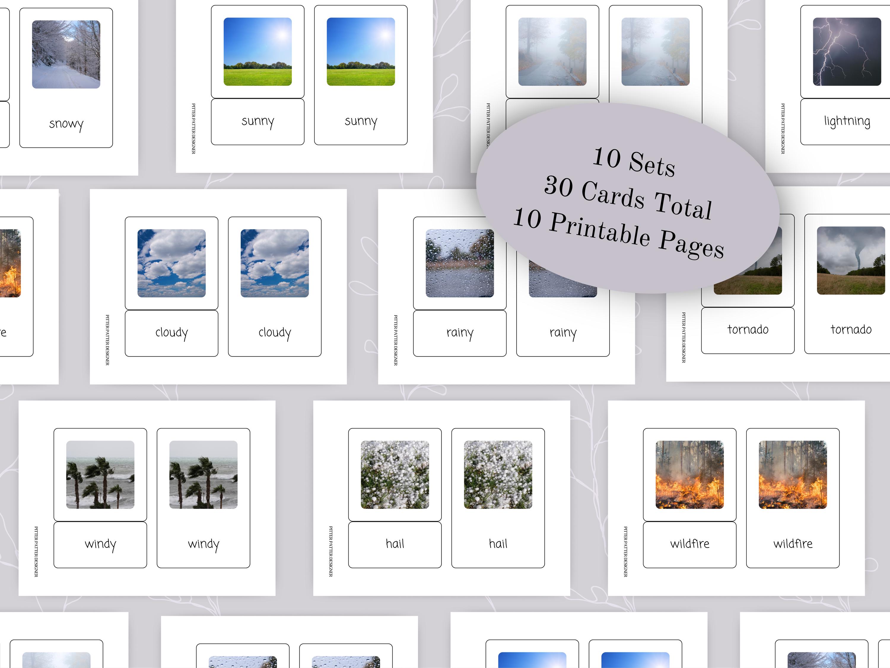 Weather Themed Montessori 3 Part Cards for Word and Picture Matching ...