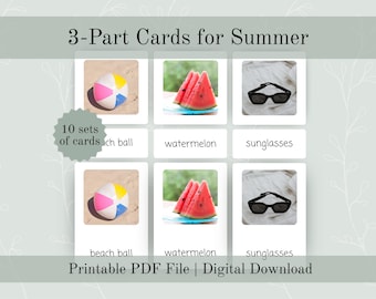 3 Part Montessori Flash Cards For Summer Themed Preschool Curriculum | Three Part Cards For Language Development Material & Independent Work