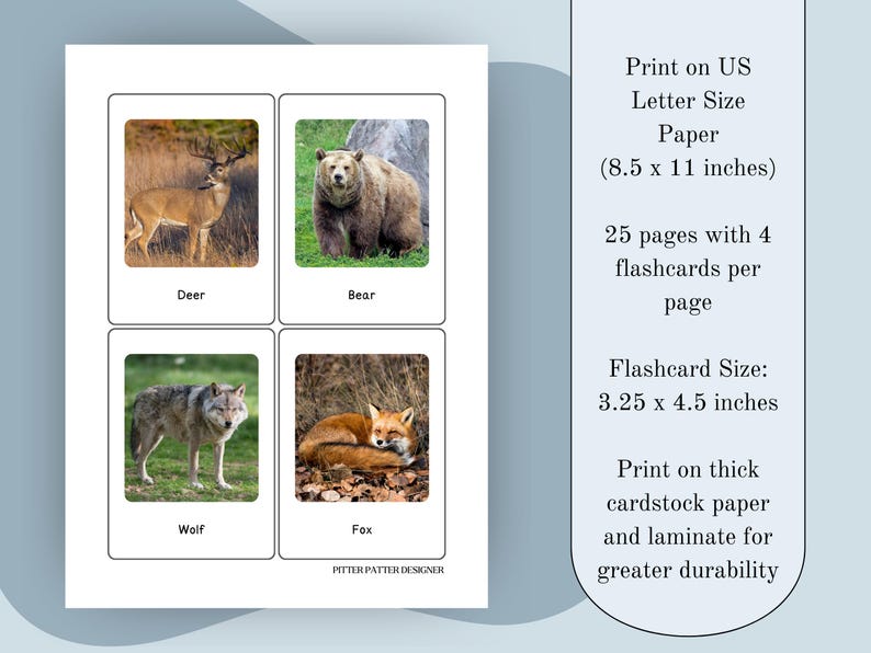 Animal Flashcards With Real Photos, Preschool Learning (digital ...