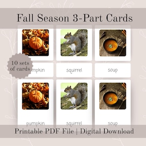 May include: A set of fall-themed 3-part cards featuring images of a pumpkin, squirrel, and soup. The cards are labeled with the words "pumpkin", "squirrel", and "soup". The text "Fall Season 3-Part Cards" is at the top.