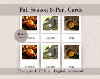 Fall Season 3 Part Cards For Montessori Language Material And Autumn Themed Preschool Lesson Plans | Three Part Montessori Flash Cards
