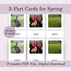 May include: A set of 3-part cards for spring, featuring images of a rabbit, tulips, and grass. The cards are labeled with the corresponding words. The text "3-Part Cards for Spring" and "Printable PDF File | Digital Download" are also visible.