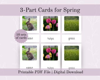 Schede in 3 parti per la stagione primaverile per il curriculum prescolare Montessori / Schede flash in tre parti stampabili per lo sviluppo precoce dell'alfabetizzazione e del linguaggio