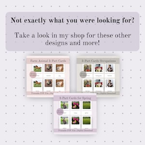 May include: Image features three sets of educational 3-part cards. The sets include "Farm Animal", "Occupations", and "Spring" themes. Each card set has a title and images with labels. The text "Printable PDF File | Digital Download" is also present.
