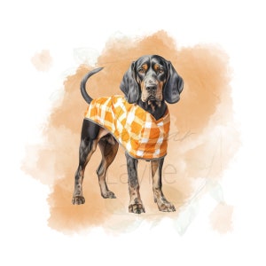 2-delige voor- en achterkant oranje voetbal coquette strik hond digitaal png-shirtbestand Tennessee oranje digitaal png-bestand strikje
