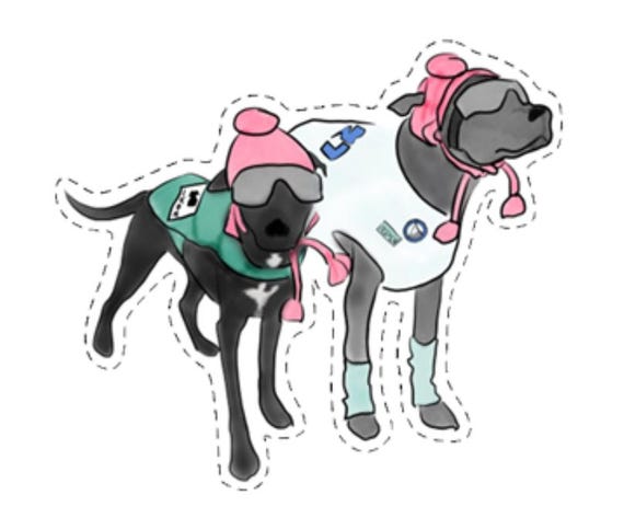 Ski Girls - Vinyl Sticker