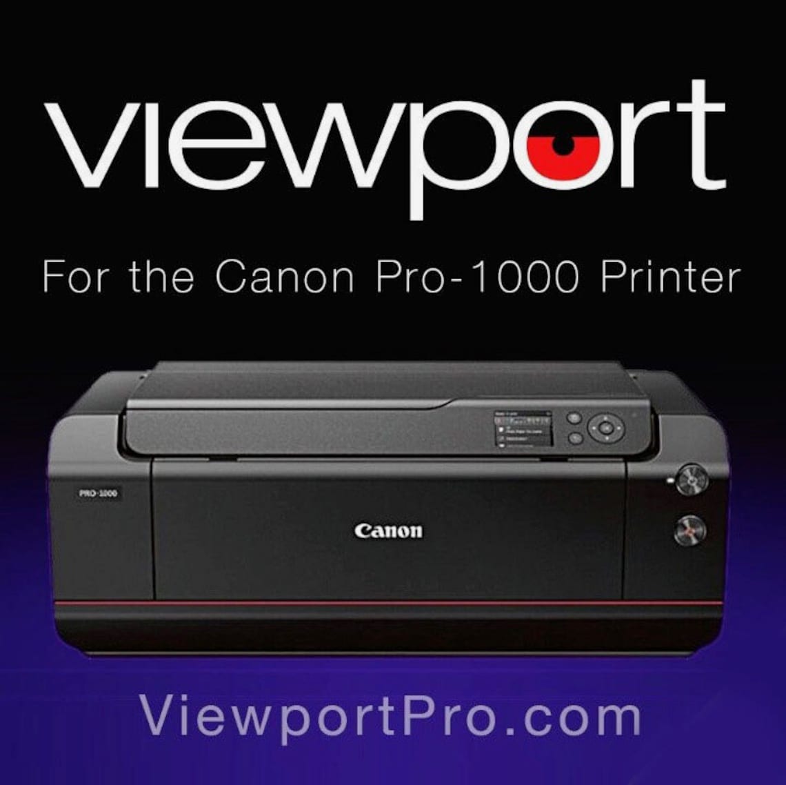Canon Pro-1000 CISS Refillable Ink System - Etsy