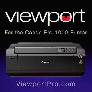 Canon Pro-1000 CISS Refillable Ink System - Etsy