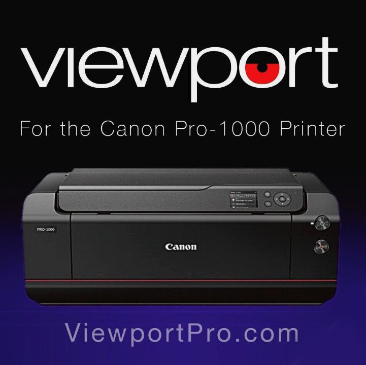 Canon Pro-1000 CISS Refillable Ink System - Etsy