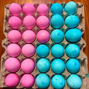 Gender Reveal Confetti Eggs (2.5 dozen) 30 eggs
