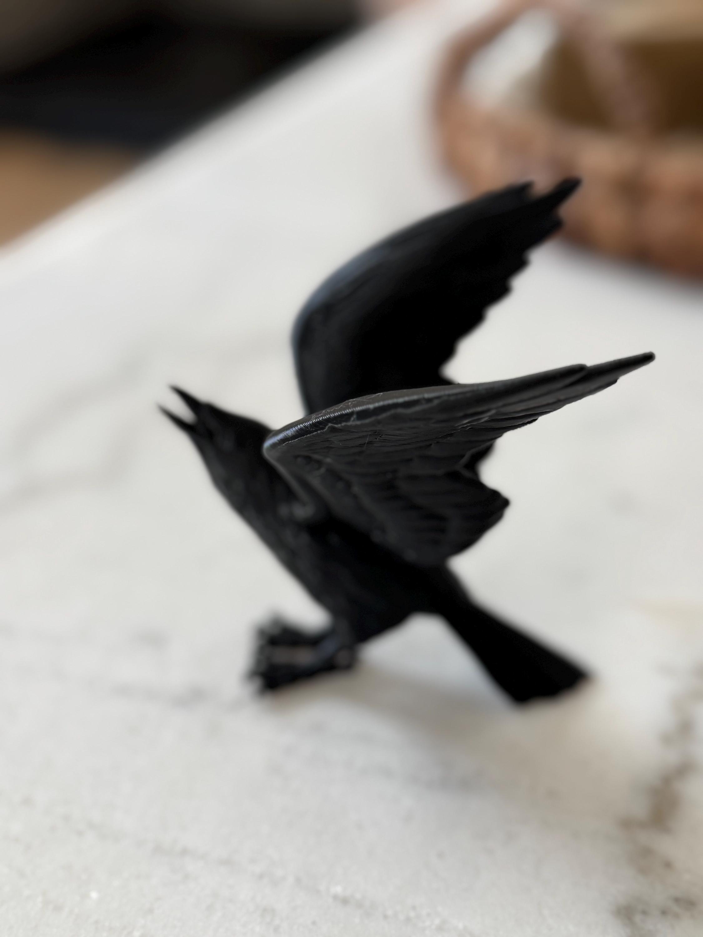 Plastic Raven 3D Printed Black Raven Statue – Gothic Dark Academia Decor, Edgar Allan ...
