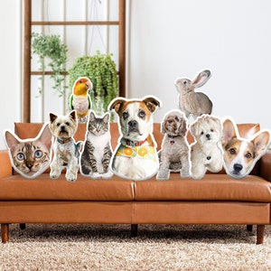 Custom 3D Pet Pillow from Photo | Personalized Dog/Cat Shaped Throw Pillow | Double Printed Pet Pillow | Pet Lover Gift | Pet Memorial Gift