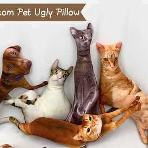 Hot Ugly Cat/Dog Zany Pillow | Custom Pet 3D Shape Pillow | Personalized Pet Pillow from Photo | Pet Loss Memorial Gift | Father's Day Gift