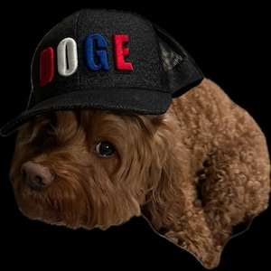 DOGE Hat