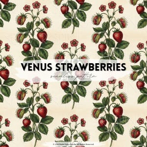 May include: A seamless pattern featuring illustrations of strawberries and Venus flytraps. The design includes red strawberries, green leaves, and red flowers on a cream-colored background. The text "VENUS STRAWBERRIES seamless pattern" is displayed.