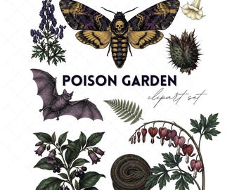 Vintage Dark Academia Clipart Pack with Poisonous Plants Bats and Moths for Gothic Scrapbooking