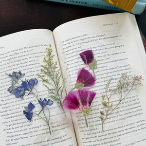 May include: An open book with the title "A Most Agreeable Murder" by Julia Seales. The book is open to a page with text about a secret and a boy named Carver. Dried flowers are pressed between the pages of the book.