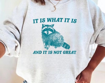 It Is What It Is And It Is Not Great Vintage Drawing Digital File, Funny Raccoon Meme PNG, Funny Trash Panda , Funny Trash Panda Png