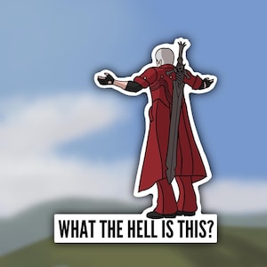 May include: A cartoon illustration of a video game character with white hair and a red coat, holding a sword. The character is standing with their back to the viewer and their arms outstretched. The text "WHAT THE HELL IS THIS?" is below the character.