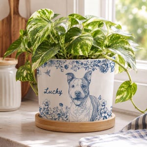 May include: A white ceramic planter featuring a blue line-art illustration of a dog, the name Lucky, and floral patterns. The planter sits on a circular wooden base and contains a variegated pothos plant with green and cream-colored leaves.