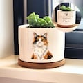 Personalized Pet Memorial Planter, Custom Pet Flower Pot, Dog Loss Remembrance Gift, Pet Loss Gift product logo