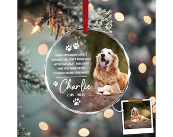 Custom Pet Ornament, Pet Memorial Gift, Custom Pet Portrait Ornament, Pet Sympathy Gift,Dog Cat Lover Gift, Pet Photo Ornament,Cat Loss Gift
