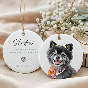 Custom Pet Ornament, Pet Memorial Gift, Personalized Dog Ornament, Pet Sympathy Gift, Dog Cat Lover Gift, Pet Photo Ornament, Cat Loss Gift