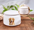 Personalized Pet Urn Custom Dog Urn With Photo Custom Dog Cat Ashes Urn Pet Ashes Urn Pet Memorial Gift product logo