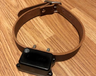 Collares de cuero para perros rebeldes Collares de cerca