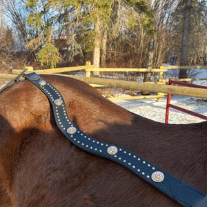 Black Leather With Brass/Gold Narrow Tripping Collar